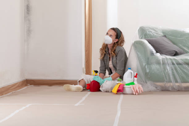 Reliable Mold Remediation contractor in Linden, MI by Cheap Mold Removal